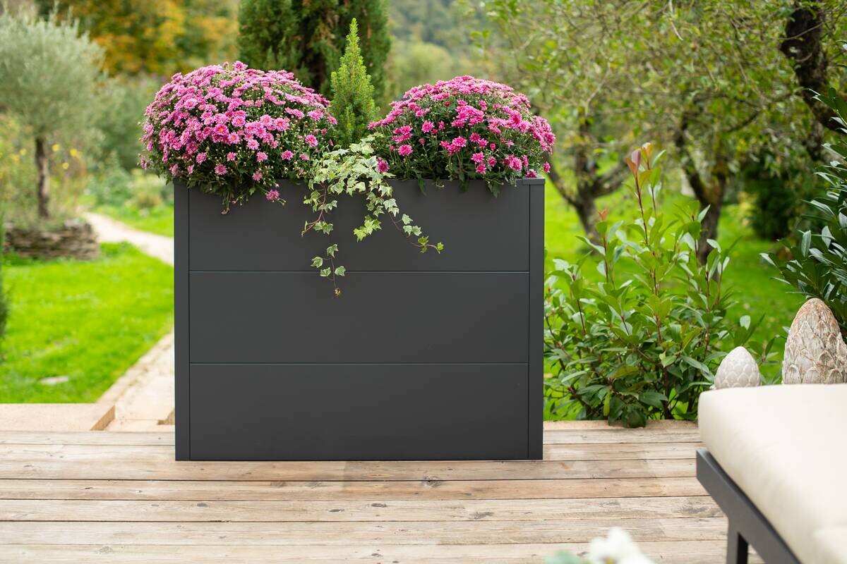 Westmann Pflanzkasten Talus anthrazit Metall B/H/T: ca. 100x77x25 cm