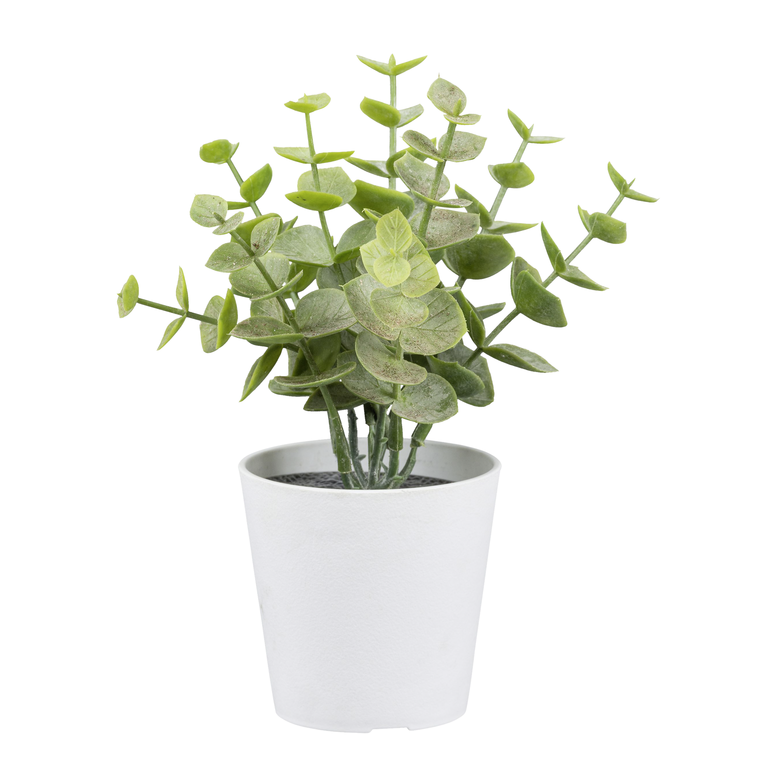 Kunstpflanze grün Kunststoff H: ca. 15 cm