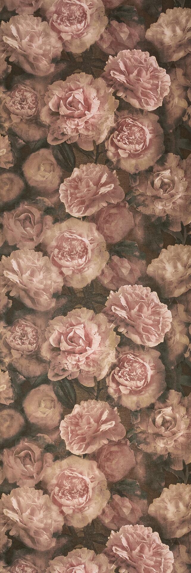 Vliestapete Rosen altrosa B/L: ca. 53x1005 cm