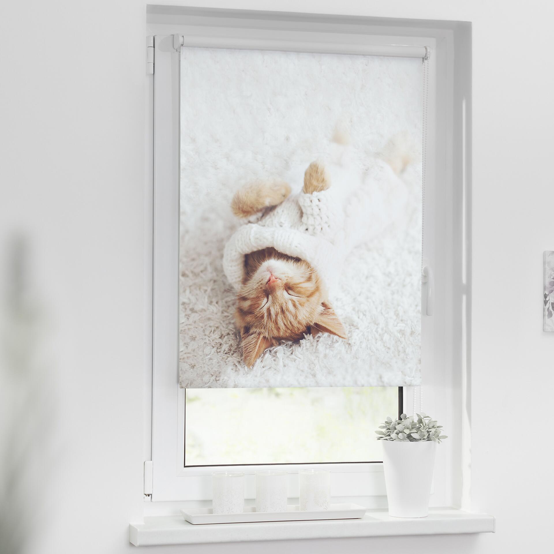 LICHTBLICK Verdunkelungsrollo Sleepy Cat weiß B/L: ca. 120x150 cm