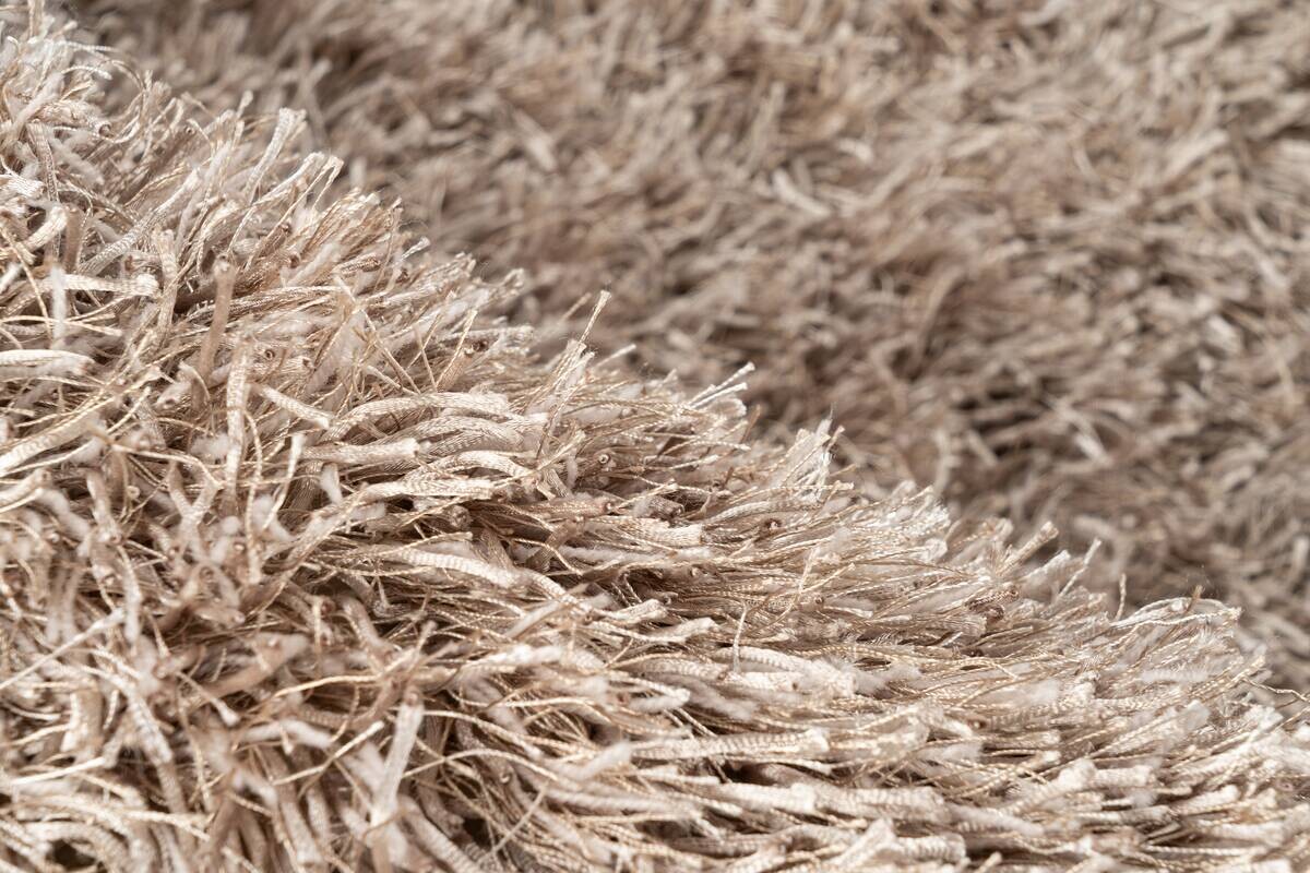 Arte Espina Hochflorteppich Beat 8102 Weiß / Taupe taupe B/L: ca. 120x180 cm