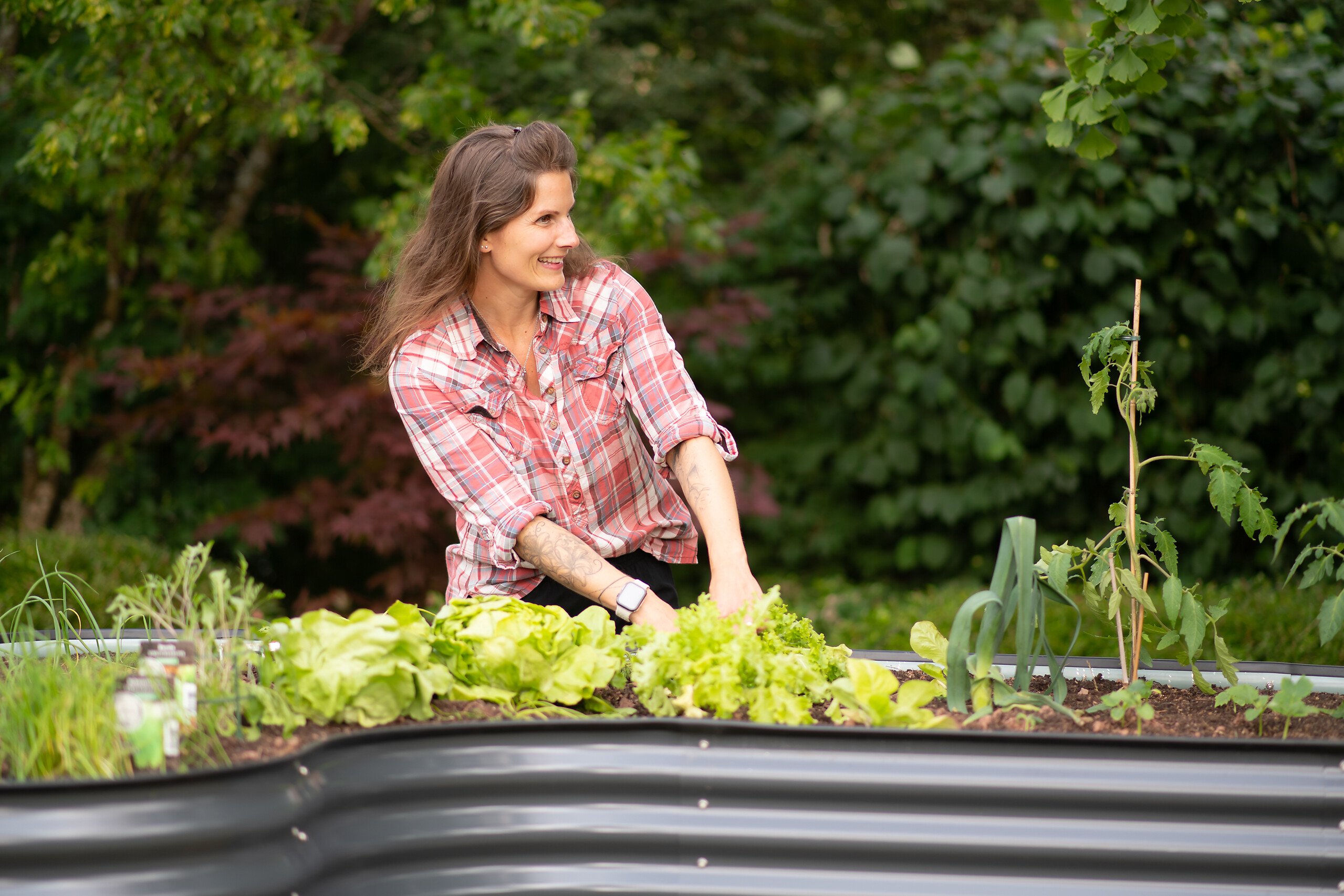 Westmann Hochbeet Grow Faster anthrazit Stahl B/H/L: ca. 160x82x240 cm