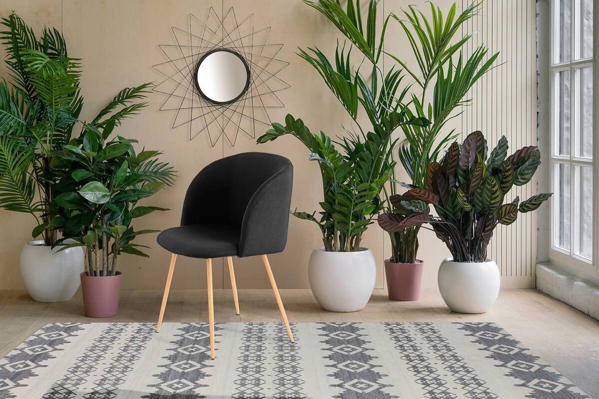 Stuhl Celina 200 2er schwarz Microfaser B/H/T: ca. 54x84x56 cm