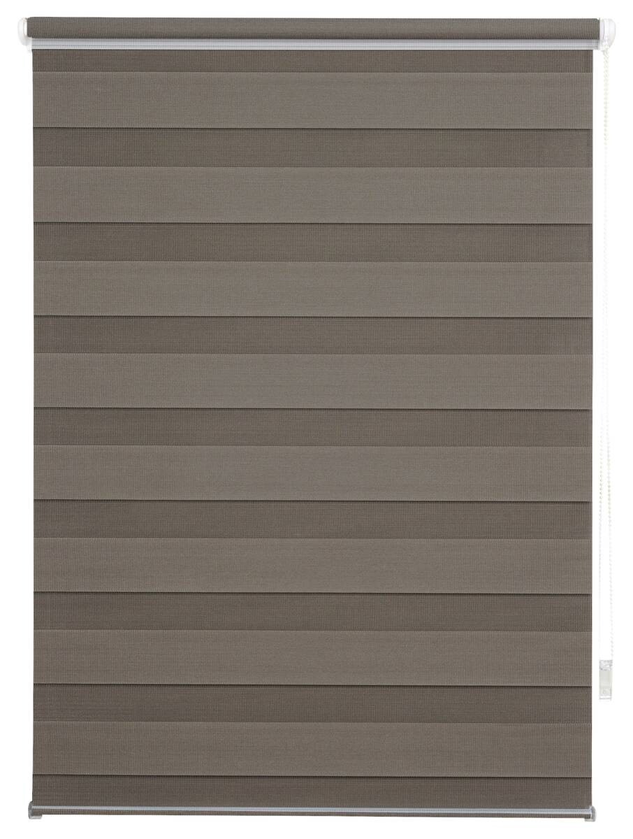 Doppelrollo Just braun B/L: ca. 60x160 cm