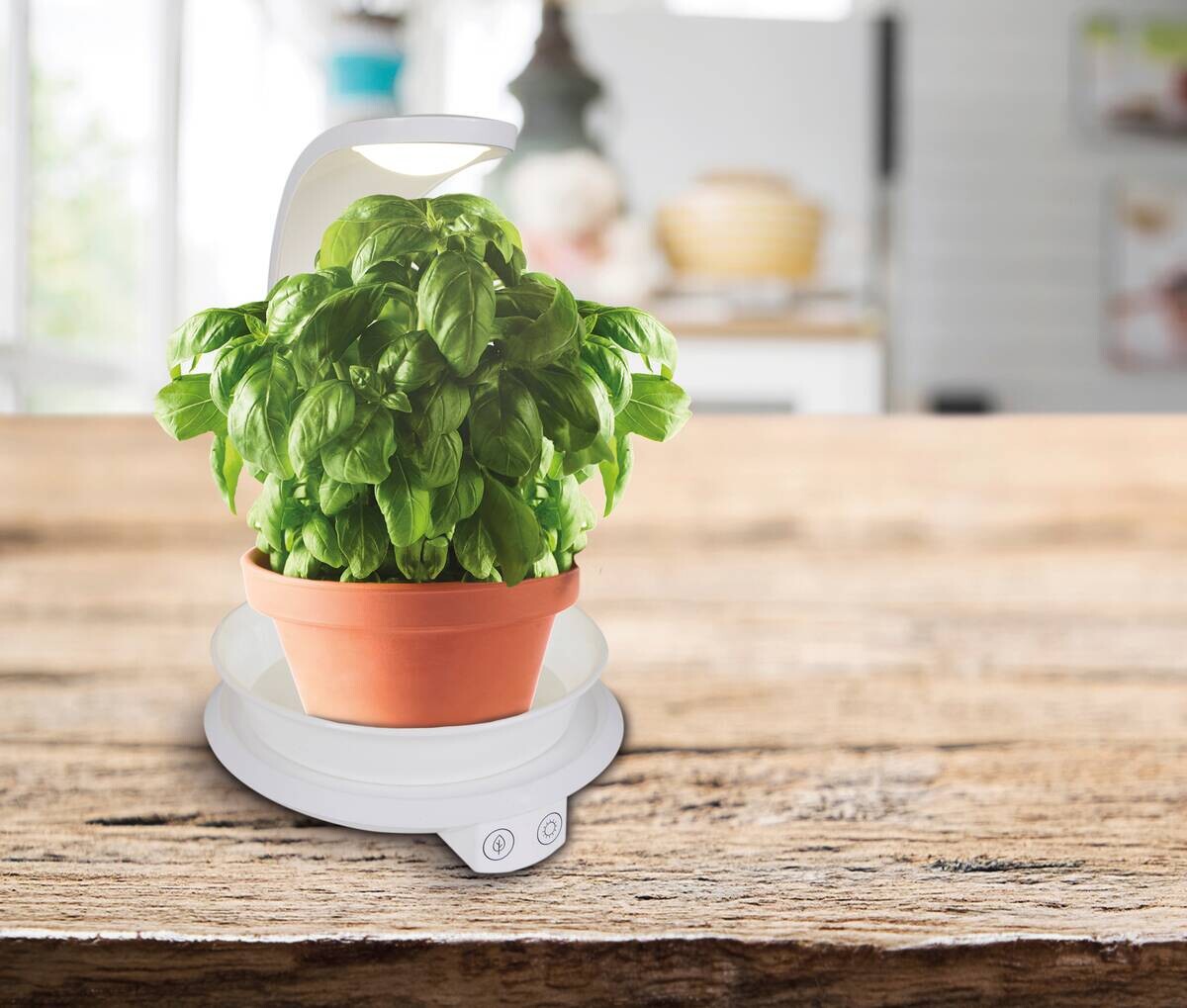 Näve Leuchten Tischleuchte 3176423 weiß Metall Kunststoff H/D: ca. 24x15,5 cm null 20 Brennstellen