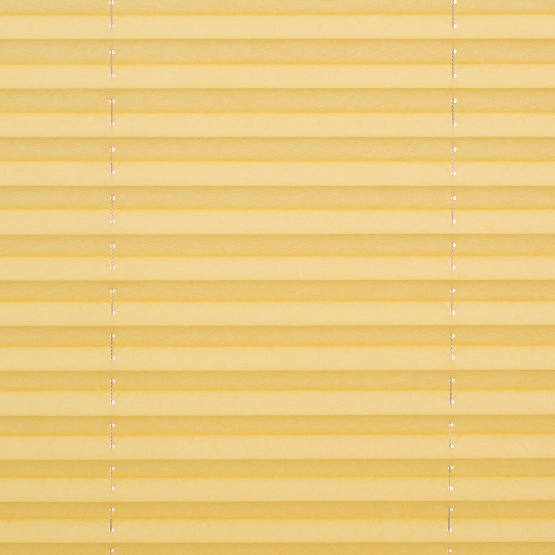 LICHTBLICK Spannplissee gelb B/L: ca. 90x130 cm