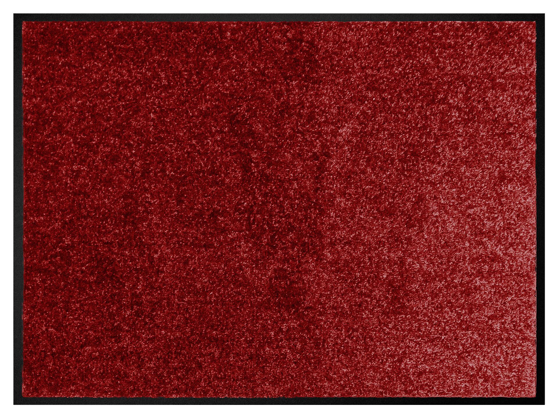 Schmutzfangmatte Alpha rot B/L: ca. 60x80 cm