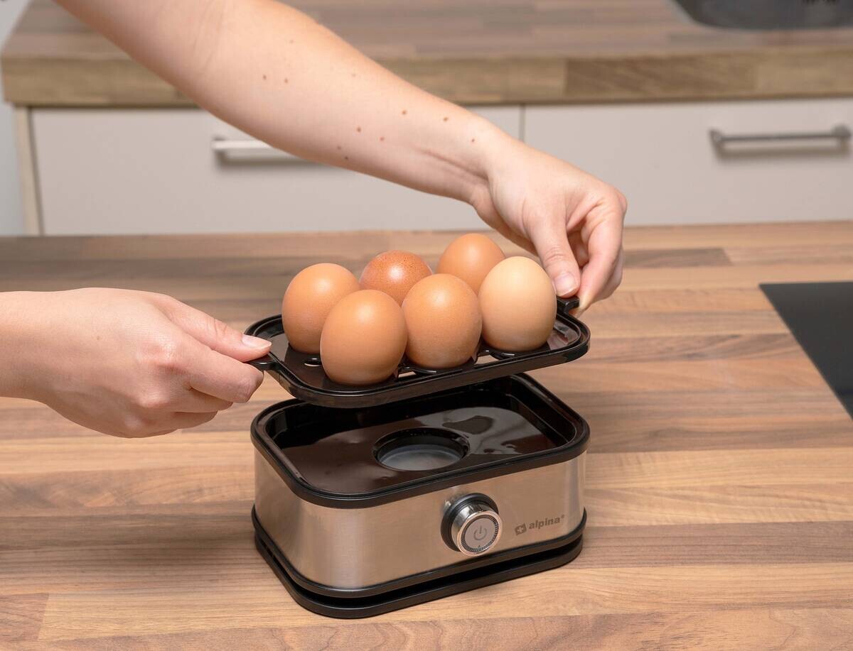 alpina Eierkocher silber