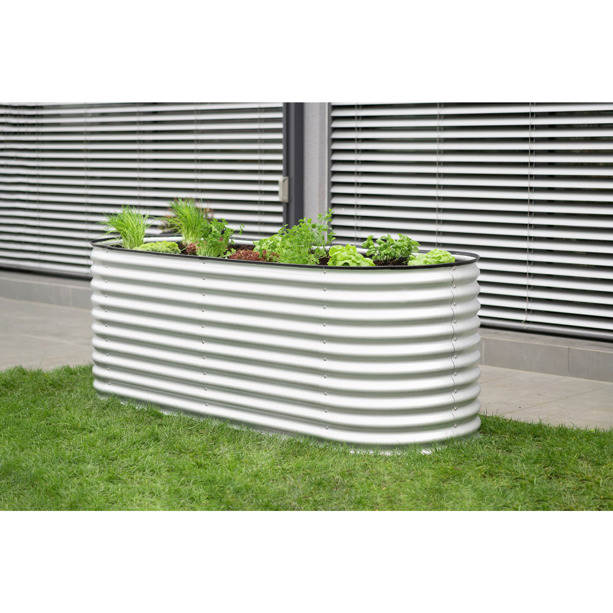 Westmann Hochbeet Oval silber Metall B/H/L: ca. 80x82x240 cm