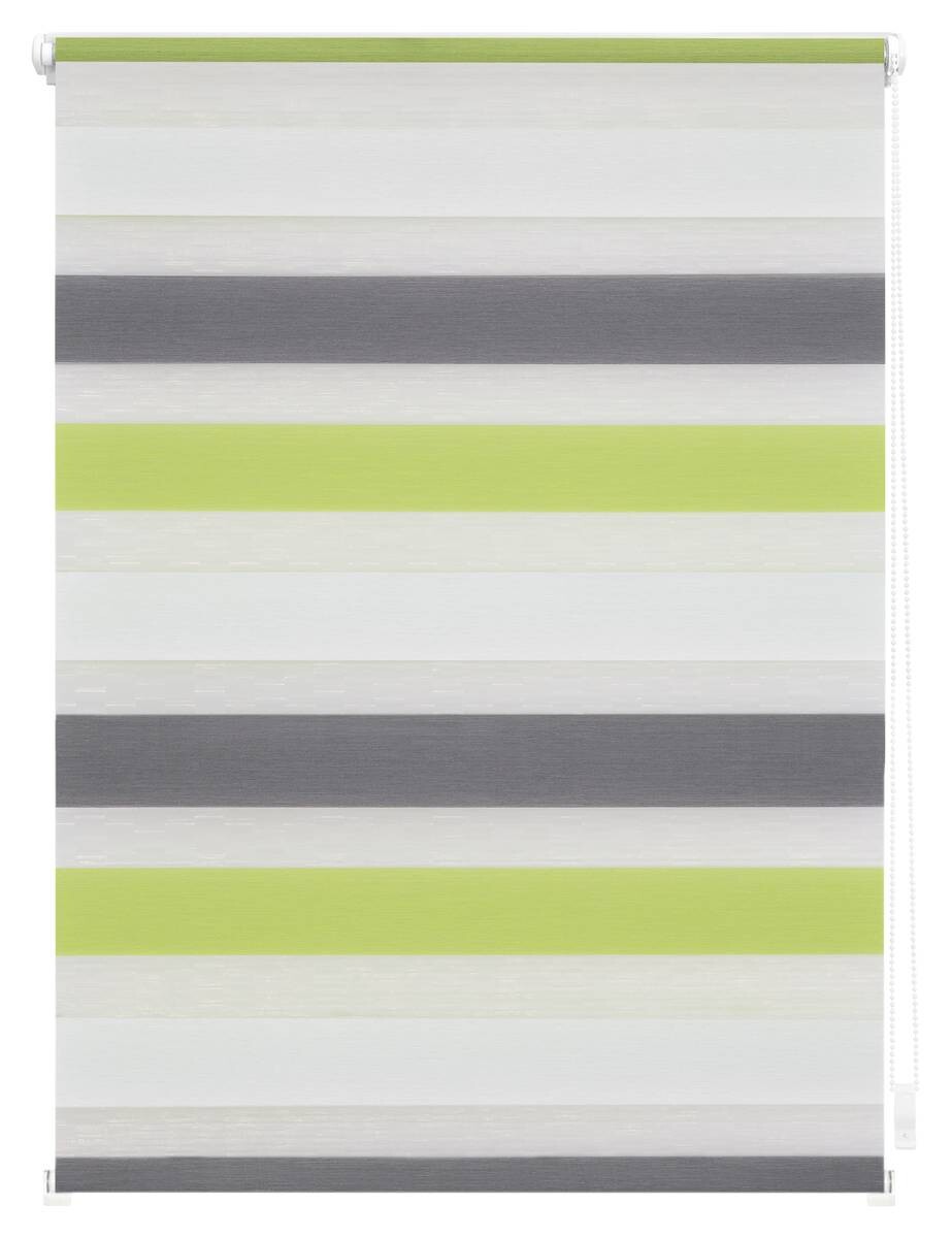 LICHTBLICK Doppelrollo Duo grün B/L: ca. 90x150 cm