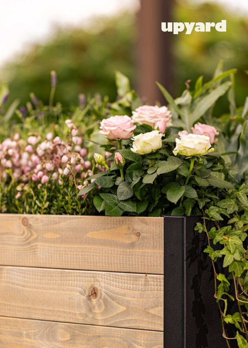 UPYARD Hochbeet MODERN grau Holz B/H/L: ca. 36x32x36 cm