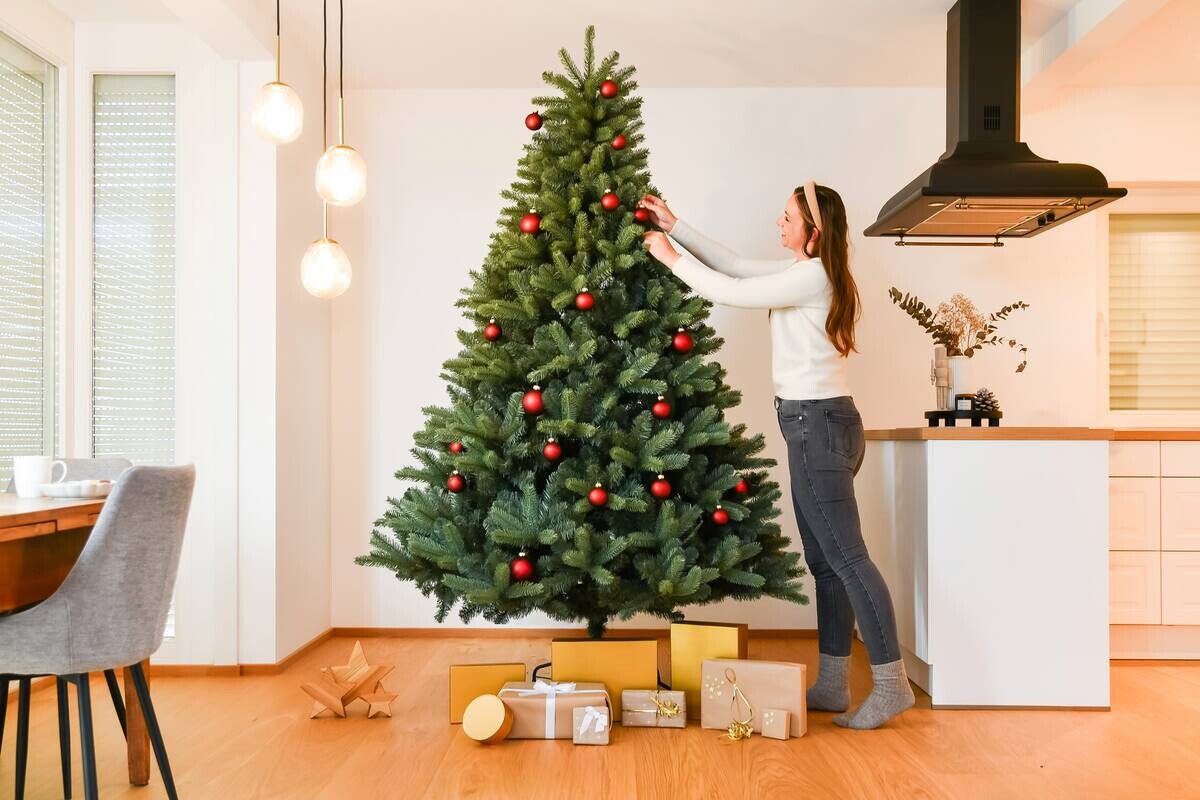 Evergreen Weihnachtsbaum Vermont Fichte