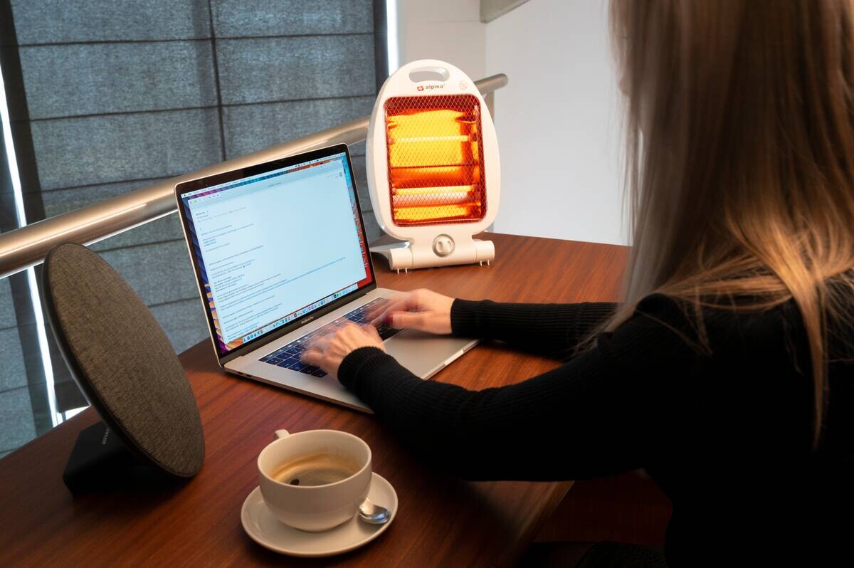 alpina Quarz-Heizstrahler 871125218212 LQ001 B/H/T: ca. 25x38x9 cm ca. 800 W