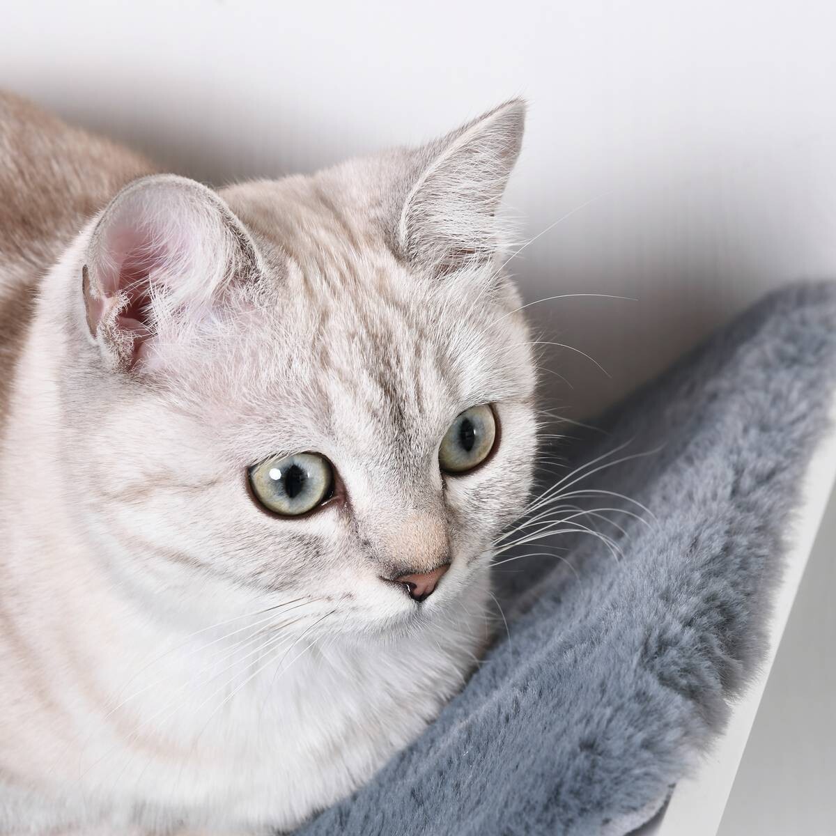 PawHut Katzenbett grau Polyester B/H/L: ca. 28x21x41 cm