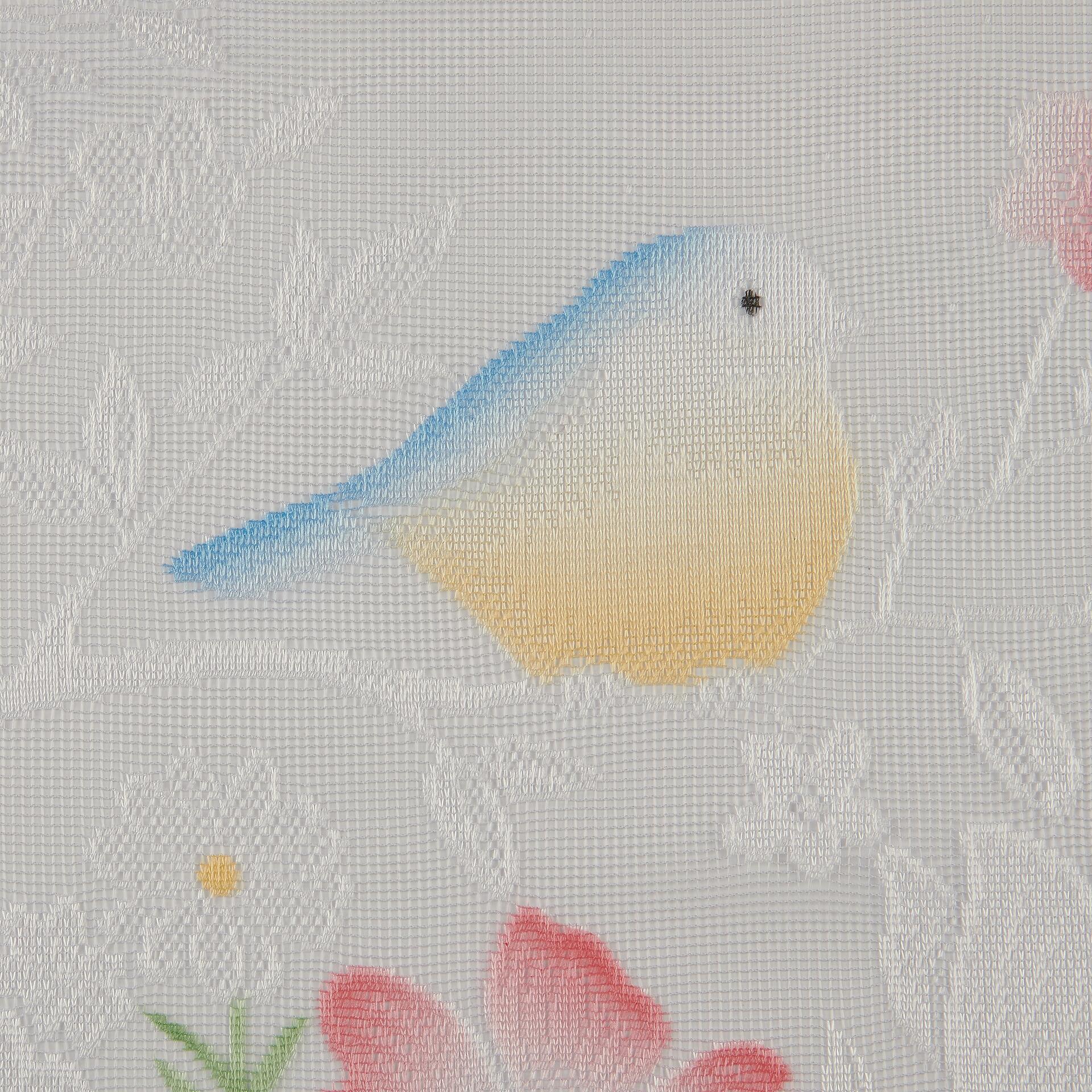 POCOline Scheibengardine Vogel bunt B/L: ca. 140x50 cm