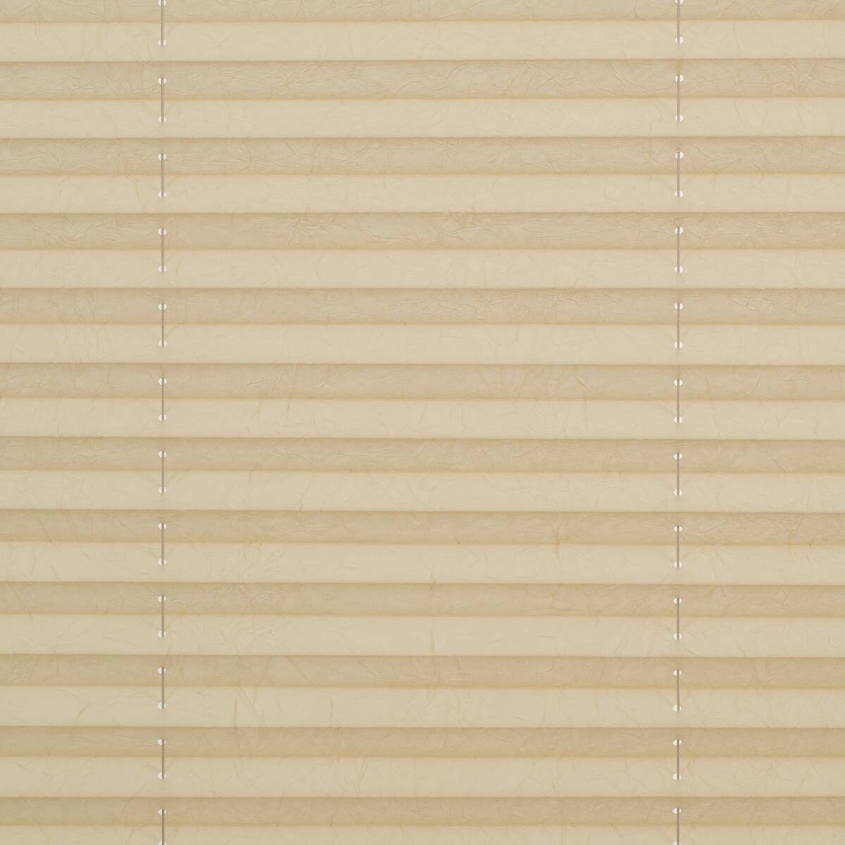 LICHTBLICK Spannplissee creme B/L: ca. 110x130 cm