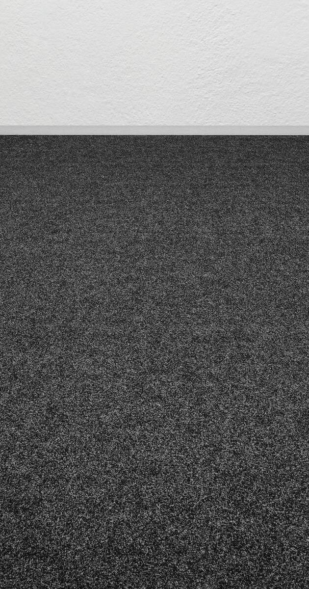 Nadelfilz Sprinter anthrazit B: ca. 200 cm