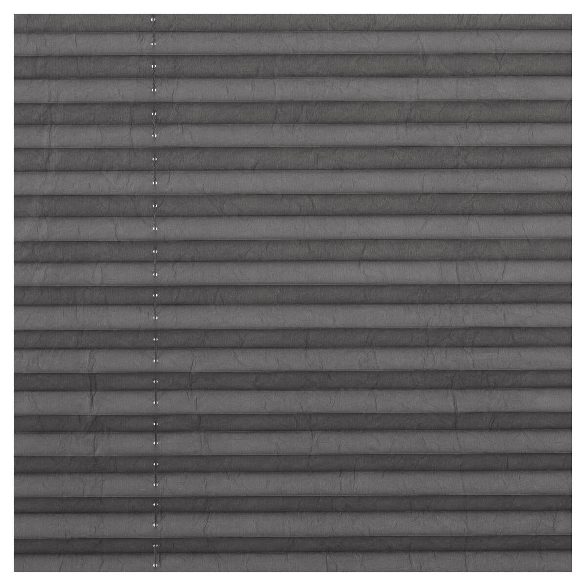 LICHTBLICK Spannplissee hellgrau B/L: ca. 70x130 cm