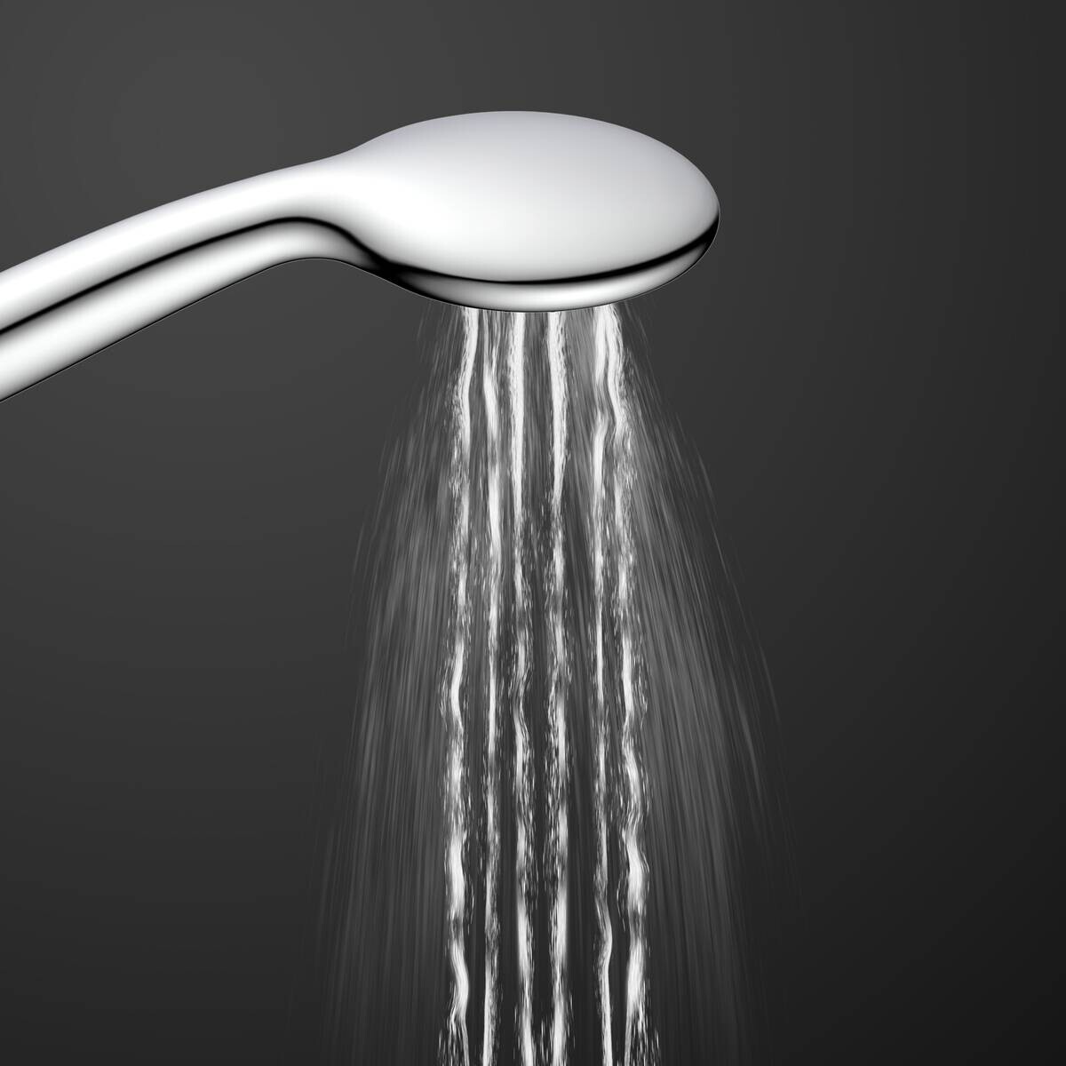 Eisl Handbrause Leon Chrom