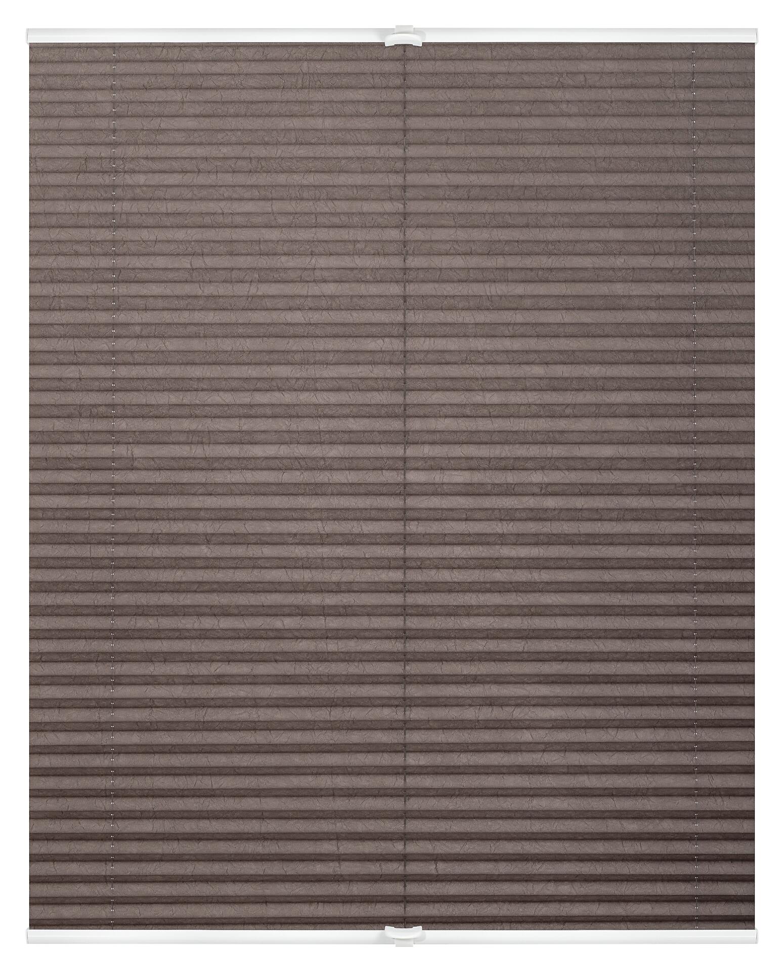 LICHTBLICK Spannplissee taupe B/L: ca. 110x130 cm