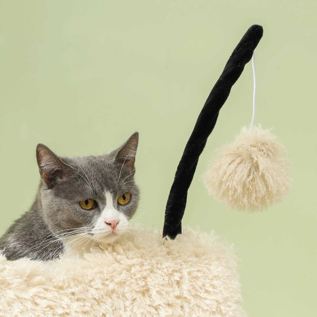 PawHut Kratzbaum braun Polyester B/H/L: ca. 34x98x48 cm