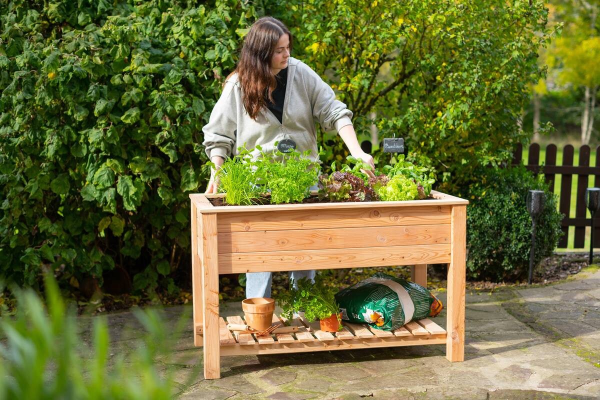Westmann Stelzenhochbeet natur Holz B/H/T: ca. 120x75x65 cm