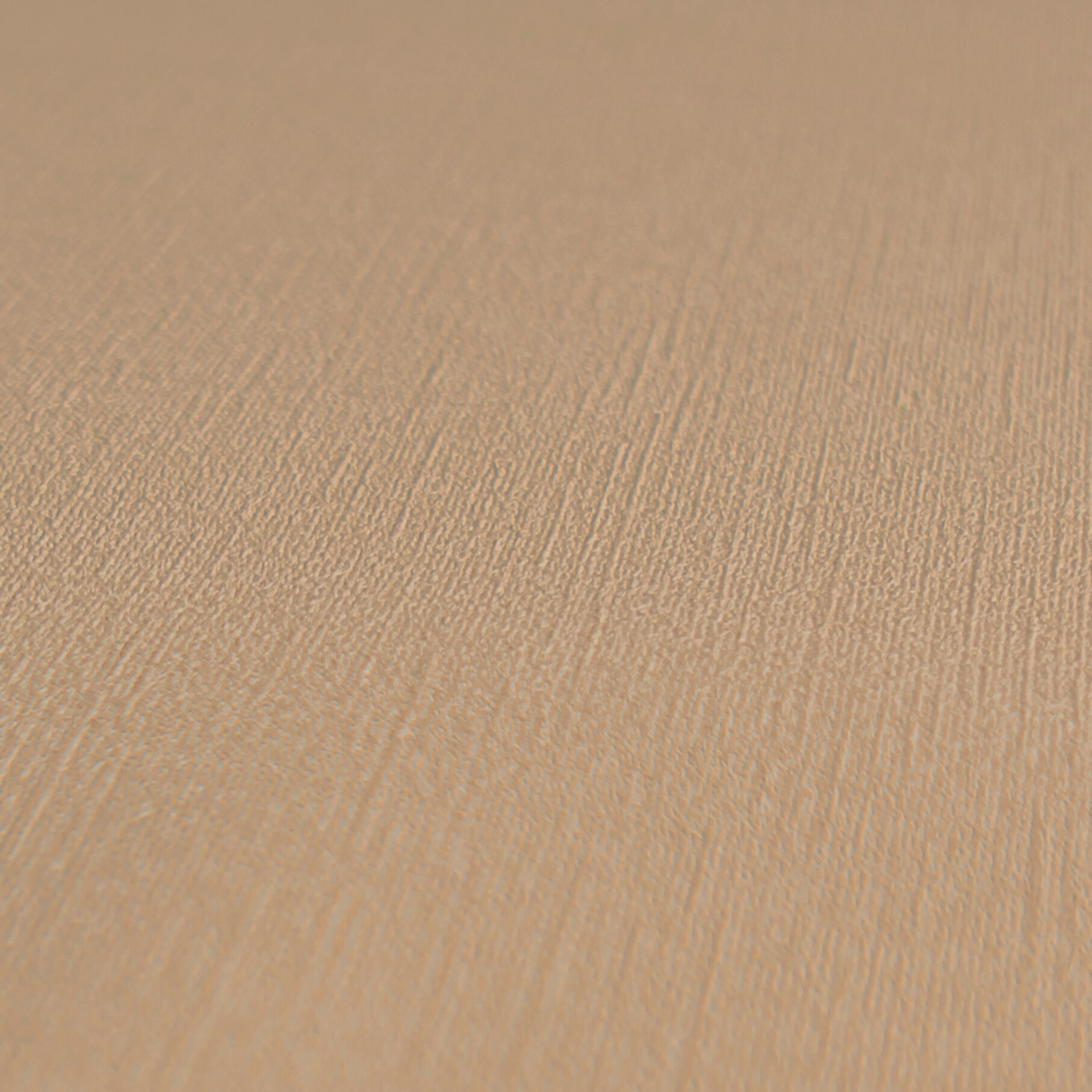 A.S.Creation Vliestapete beige B/H/D: ca. 53x1005x8,3 cm