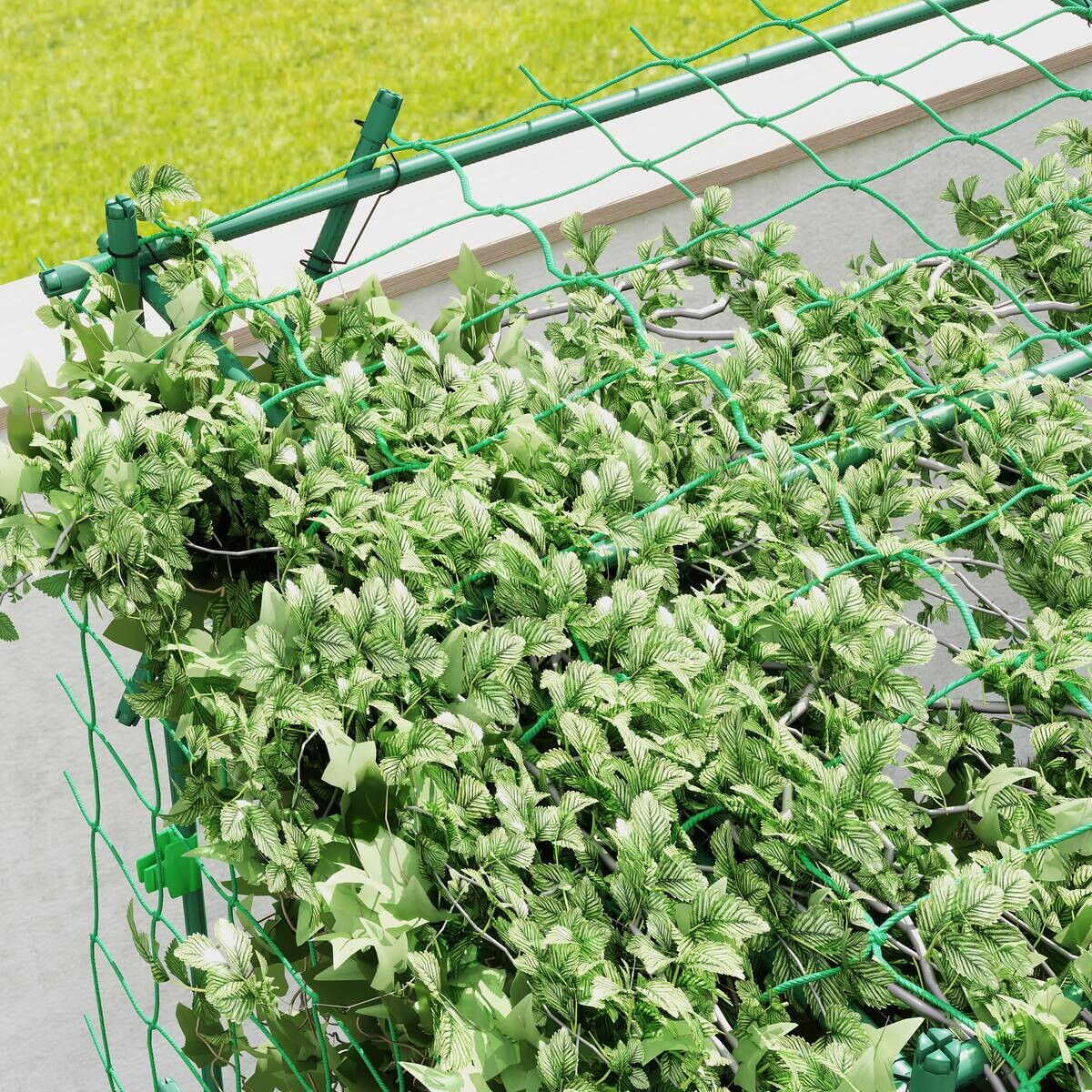 Outsunny Rankgitter grün B/H/L: ca. 223x223x223 cm