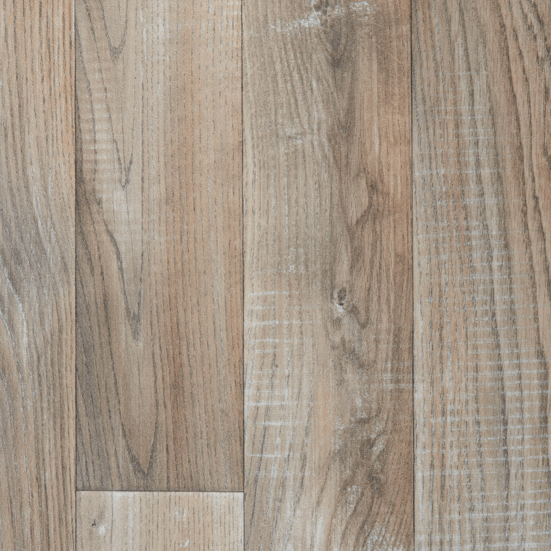 Vinylboden Rapido Eiche Eiche B: ca. 300 cm pro m²