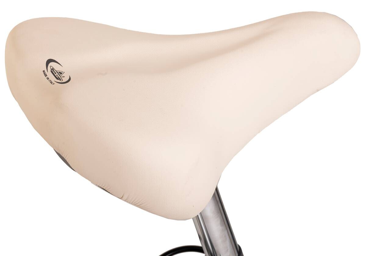 DaCapo Damenfahrrad Casino 168C 28 Zoll Rahmenhöhe 48 cm 6 Gänge anthrazit anthrazit ca. 28 Zoll