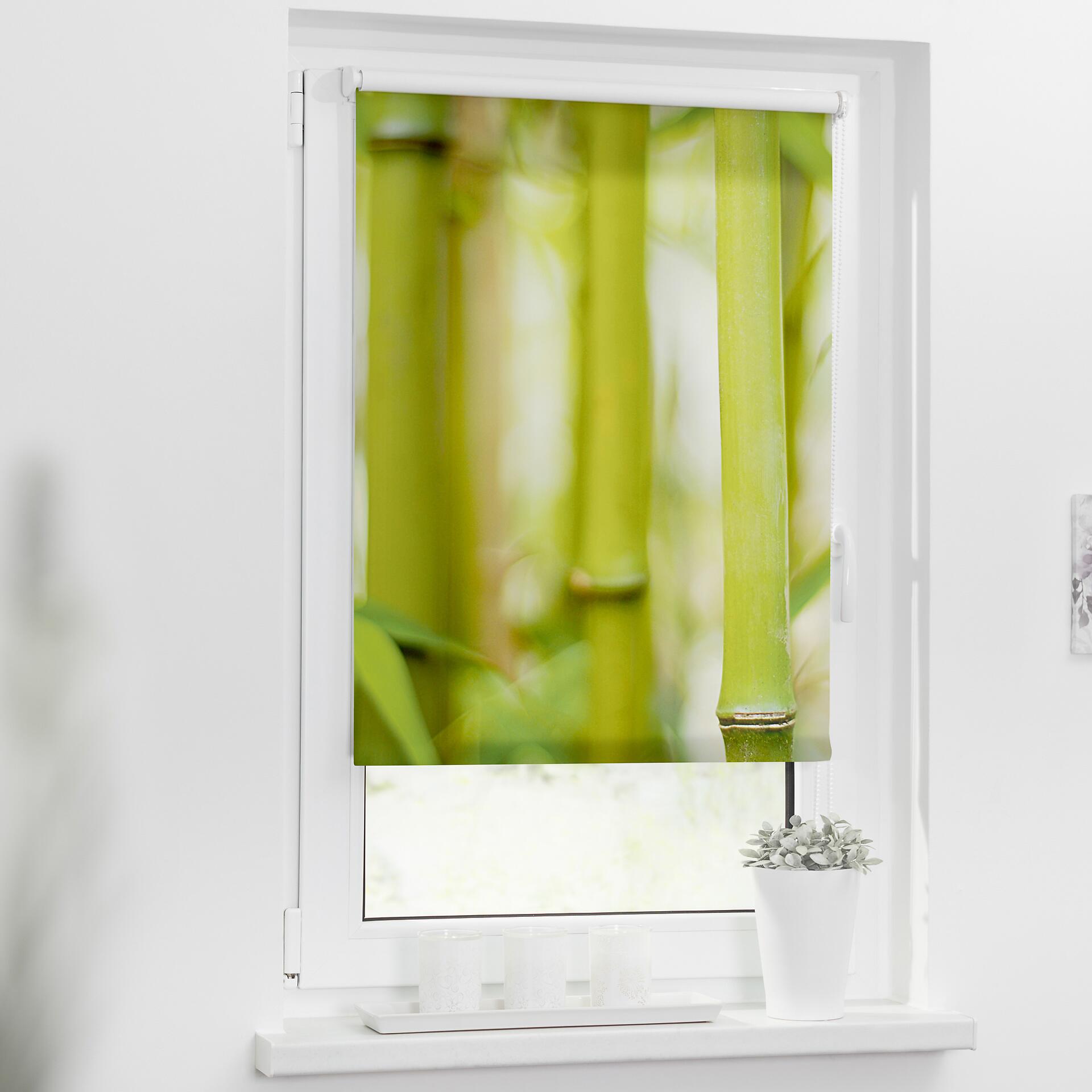 LICHTBLICK Rollo Bambus grün B/L: ca. 60x150 cm