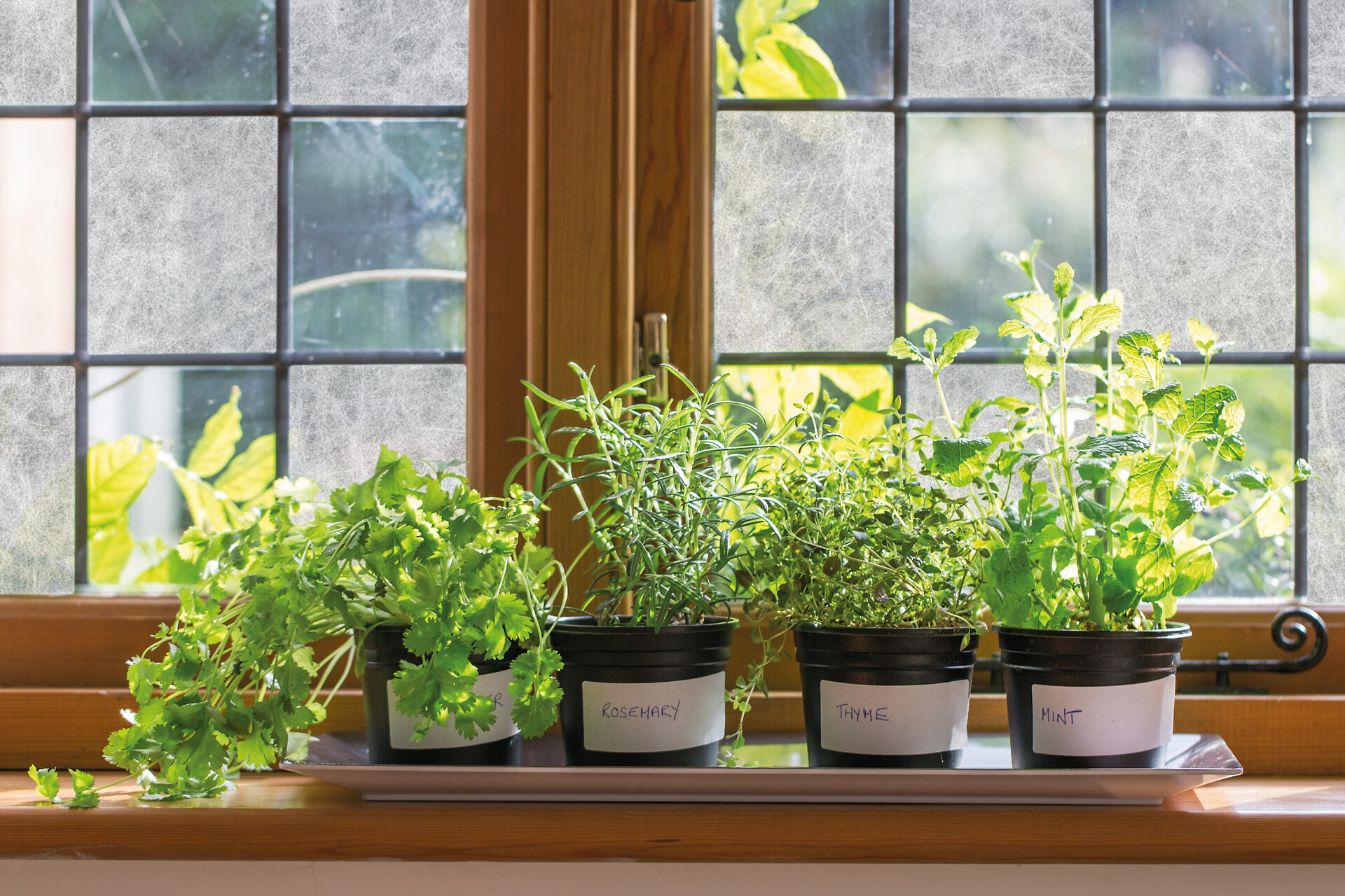 d-c-fix Fensterfolie Reispapier transparent weiß B/L: ca. 67,5x200 cm