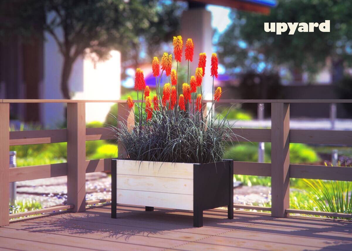 UPYARD Hochbeet MODERN natur Holz B/H/L: ca. 36x32x58 cm