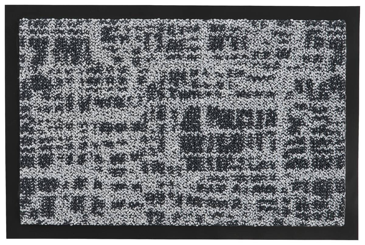 Schmutzfangmatte Traffic grau B/L: ca. 40x60 cm