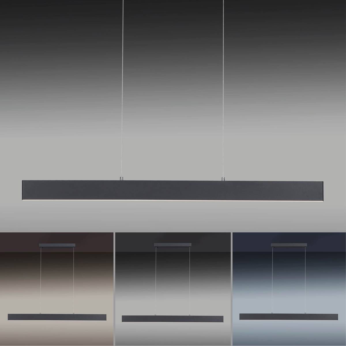 Paul Neuhaus LED-Pendelleuchte NILA 2548-13 anthrazit weiß Kunststoff Metall B/H/T: ca. 121x120x6 cm 2.0 Brennstellen