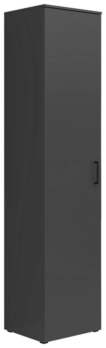 Schrank Multi-Stauraum Typ 20 anthrazit B/H/T: ca. 45x195x40 cm