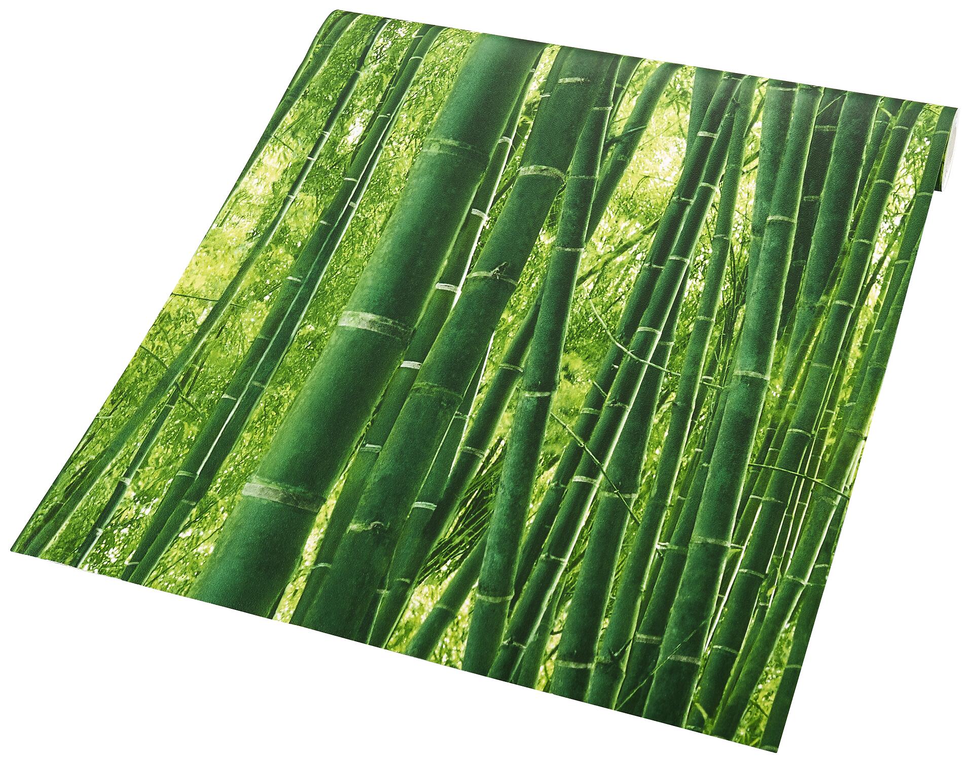 Papiertapete Bambus grün B/L: ca. 53x1005 cm
