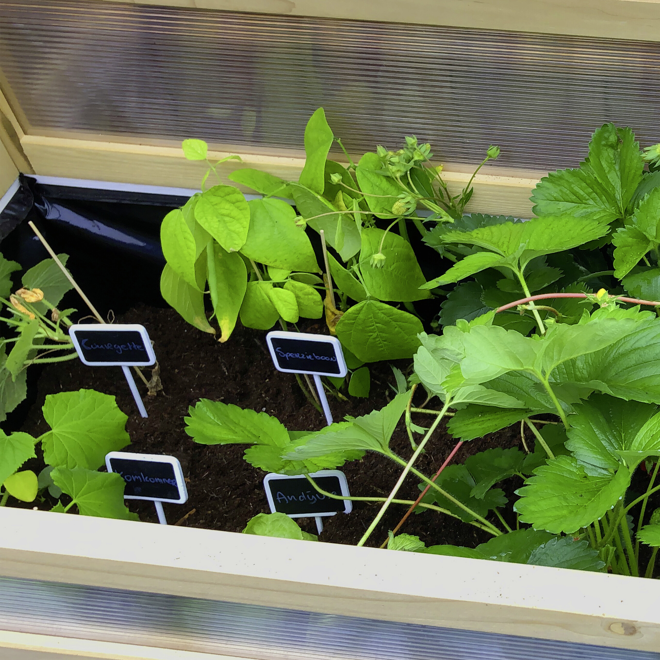 AXI Hochbeet B/H/L: ca. 54x120x120 cm