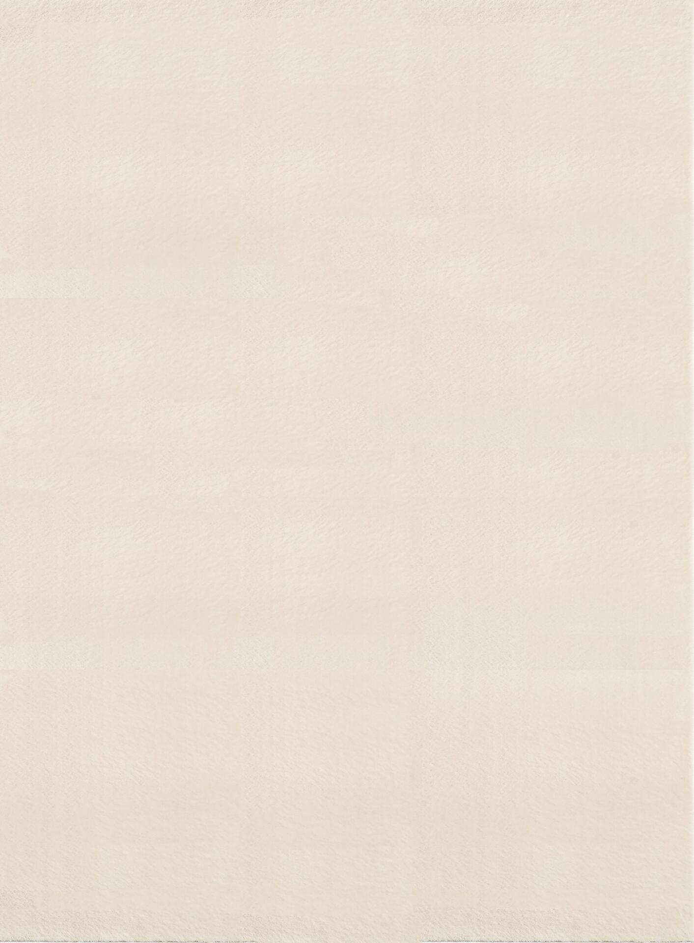 Teppich Cozy beige B/H/L: ca. 240x17x340 cm