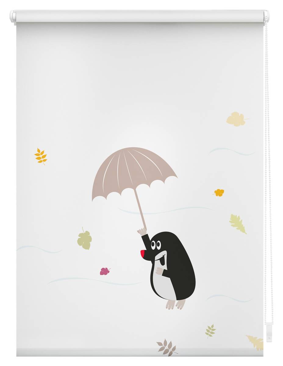 LICHTBLICK Rollo Maulwurf bunt B/L: ca. 100x150 cm