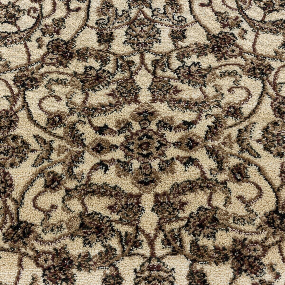 Ayyildiz Teppich KASHMIR creme B/L: ca. 240x340 cm