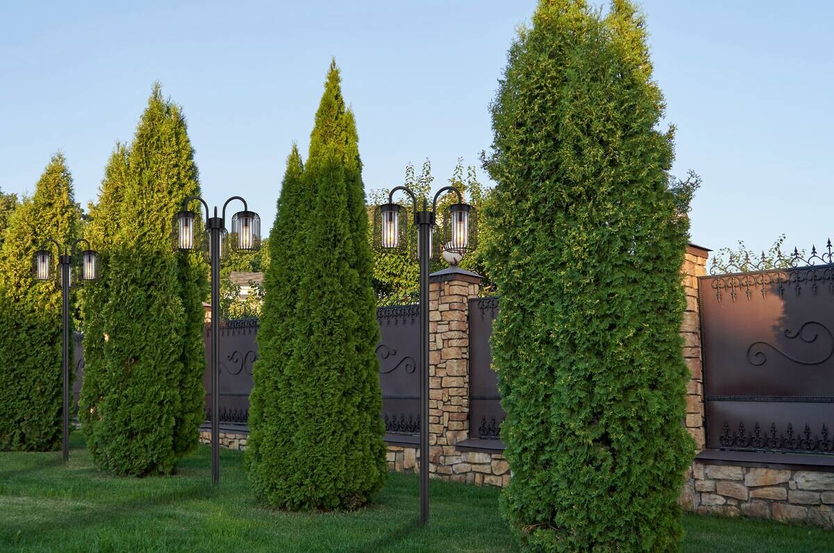 Außenleuchte schwarz klar H/D: ca. 180x48,5 cm