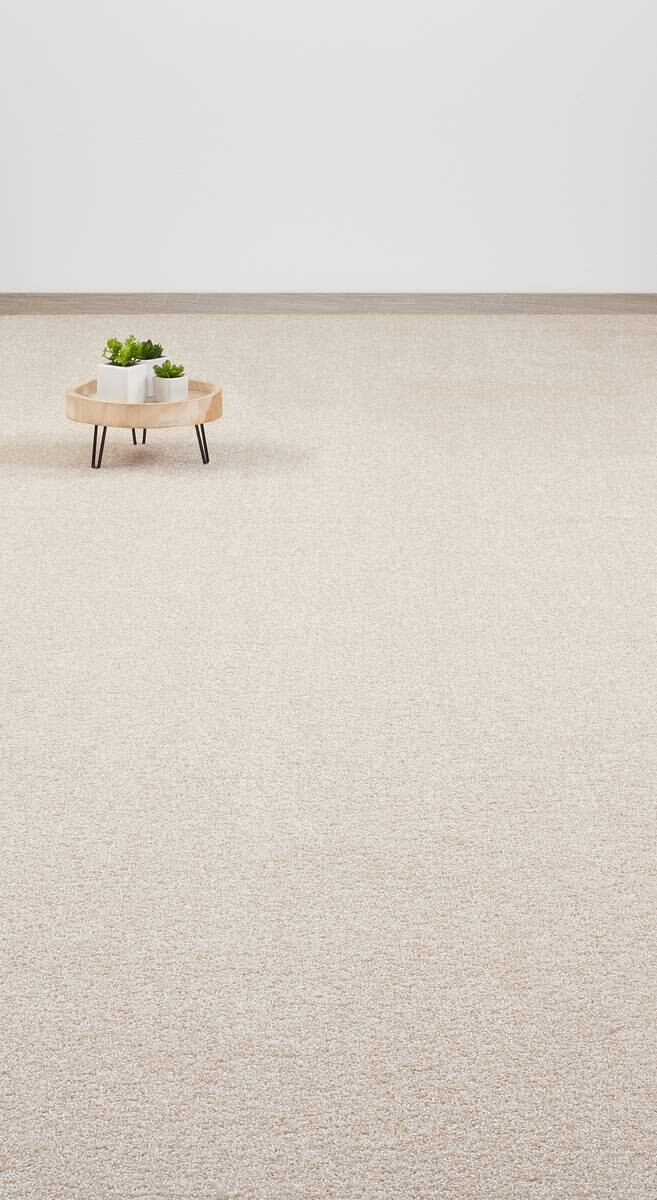 Teppichboden Garda beige B: ca. 500 cm pro m²