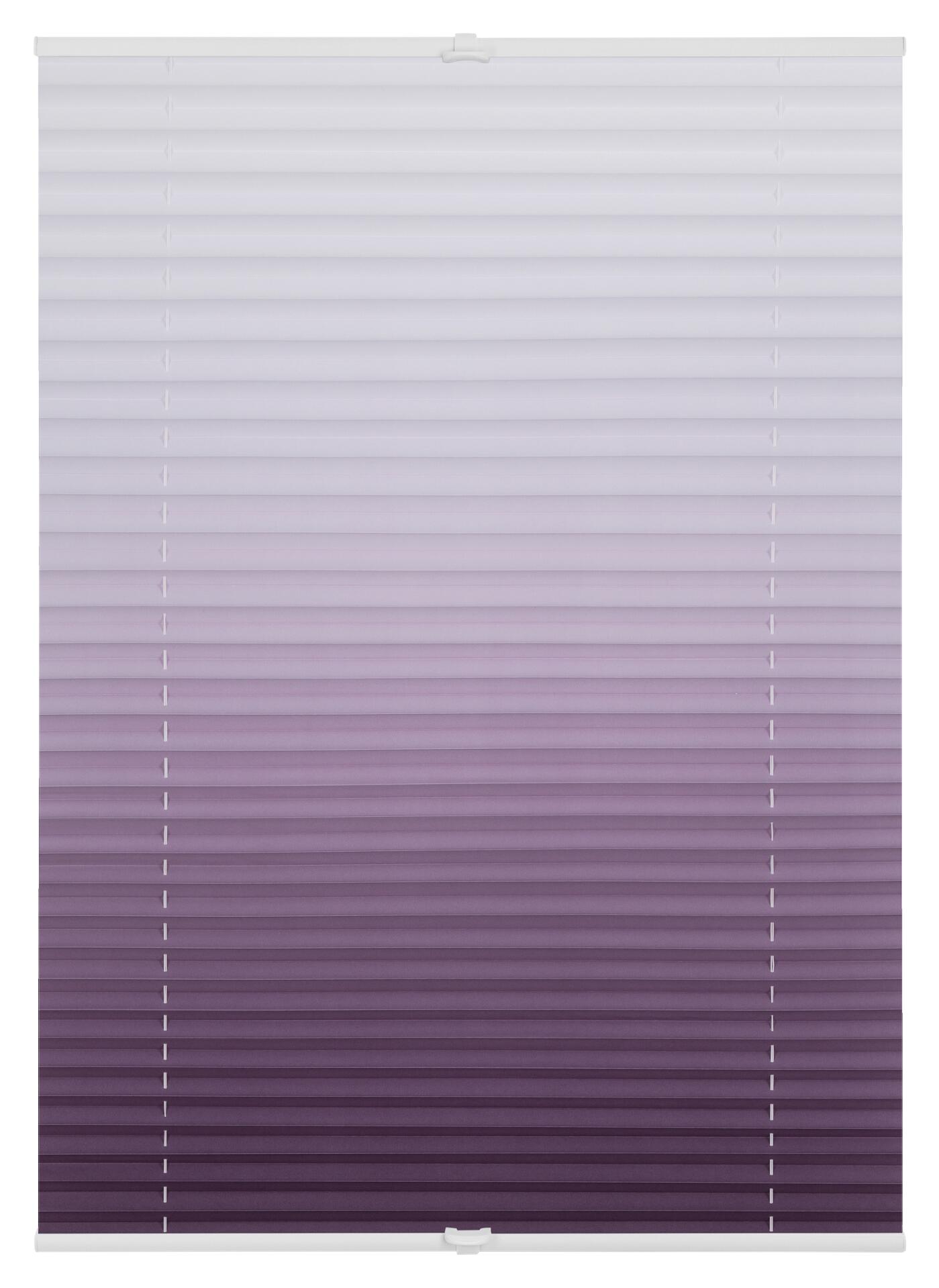 LICHTBLICK Spannplissee Farbverlauf lila B/L: ca. 100x130 cm