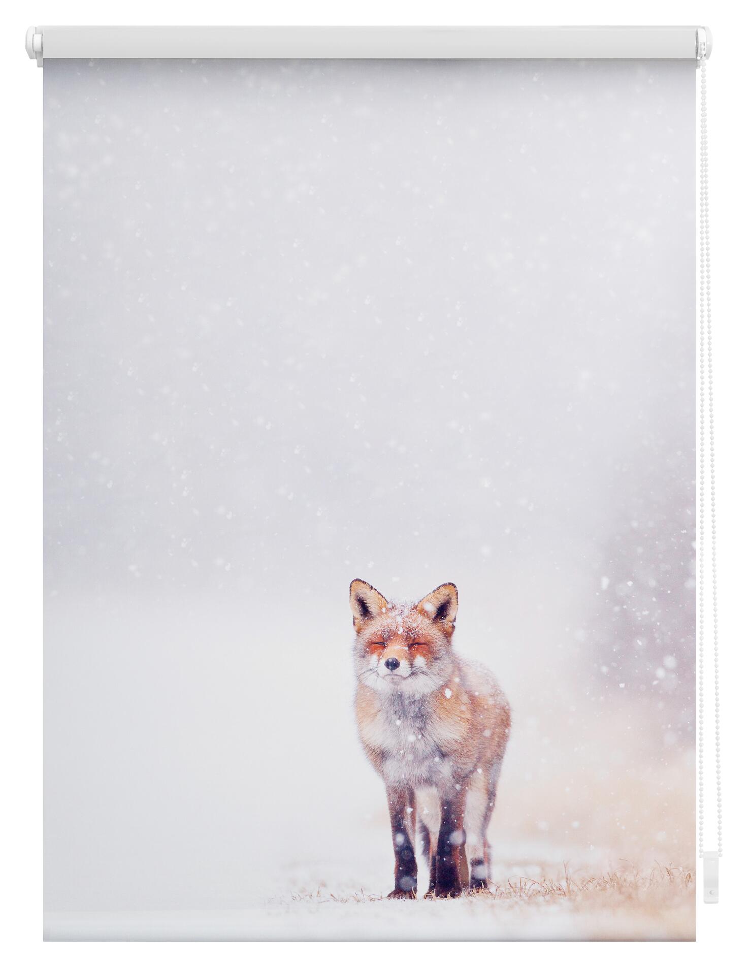 LICHTBLICK Rollo Fuchs im Schnee weiß B/L: ca. 90x150 cm
