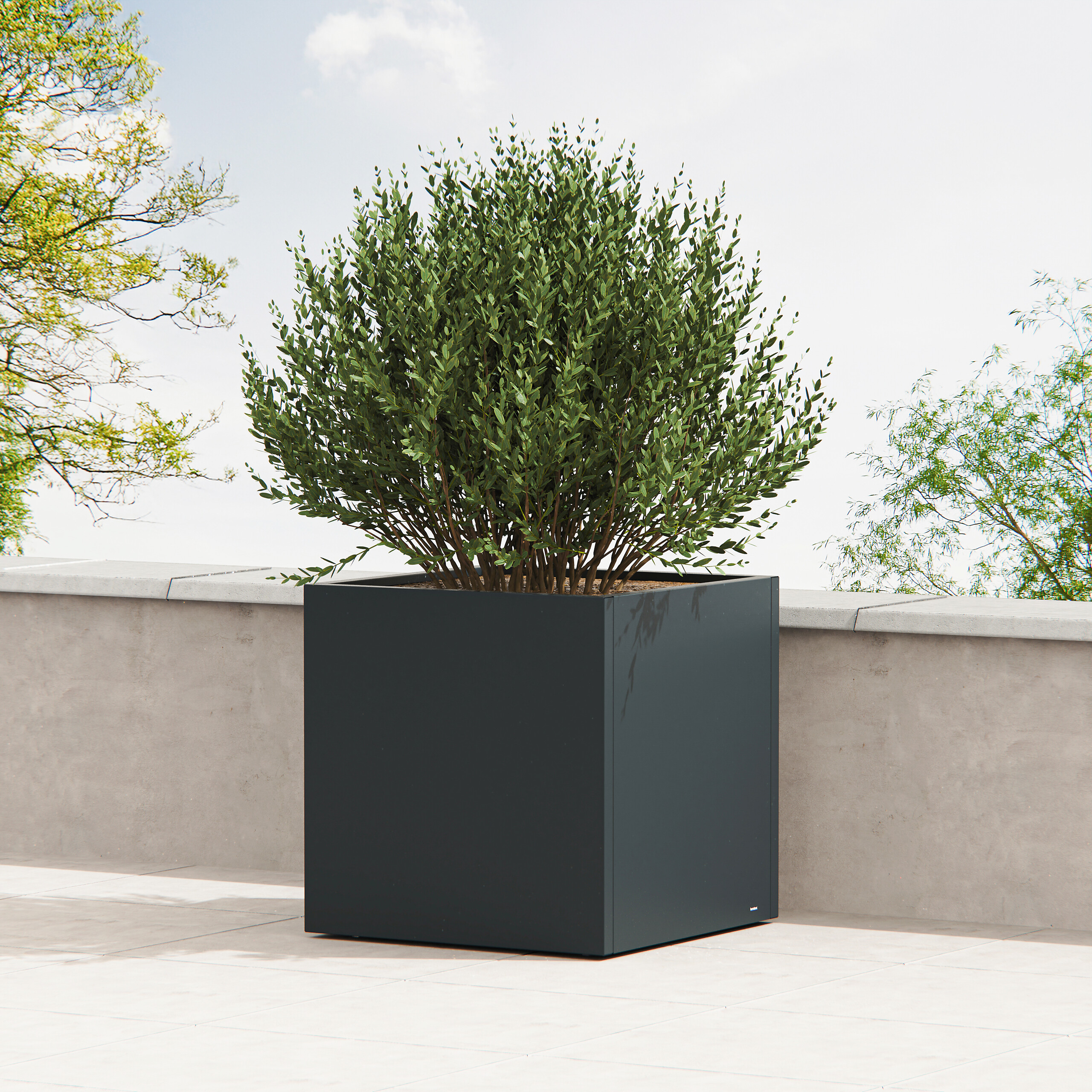 Herstera Garden Pflanzkübel Cube anthrazit Metall B/H/L: ca. 80x80x80 cm