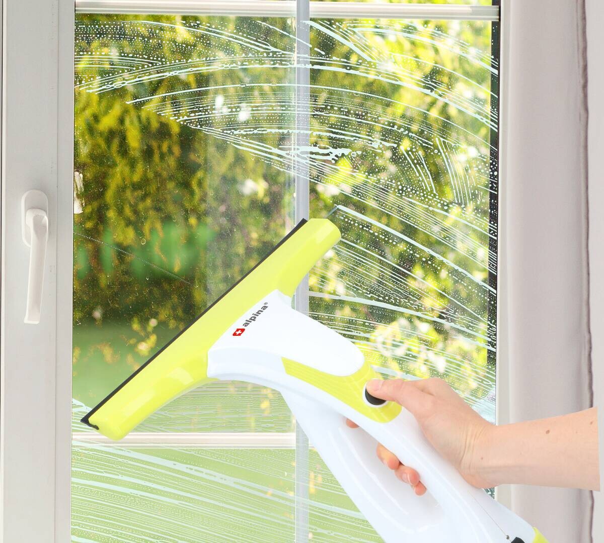 alpina Fenstersauger