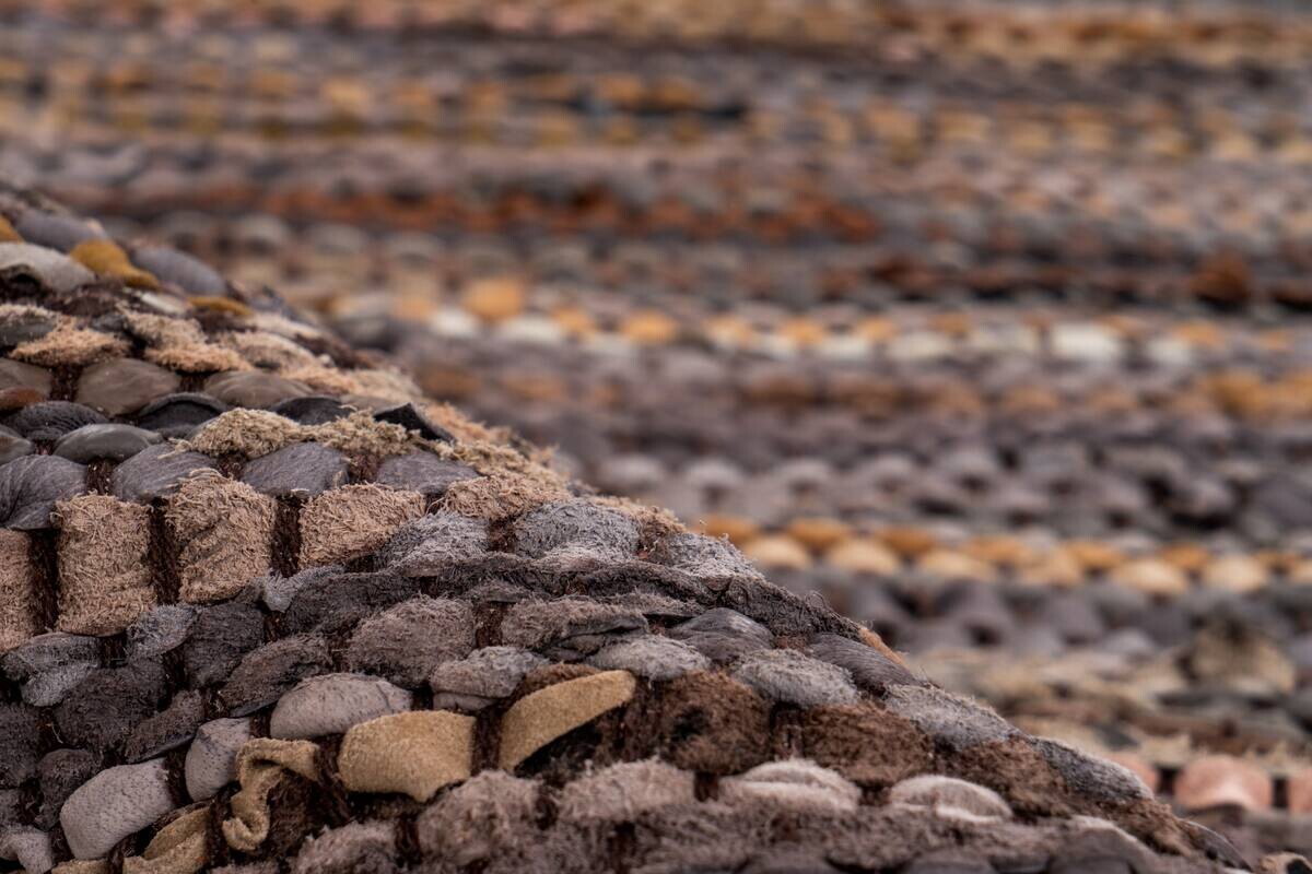 Kayoom Kurzflorteppich Sonipat 110 mehrfarbig B/L: ca. 200x300 cm