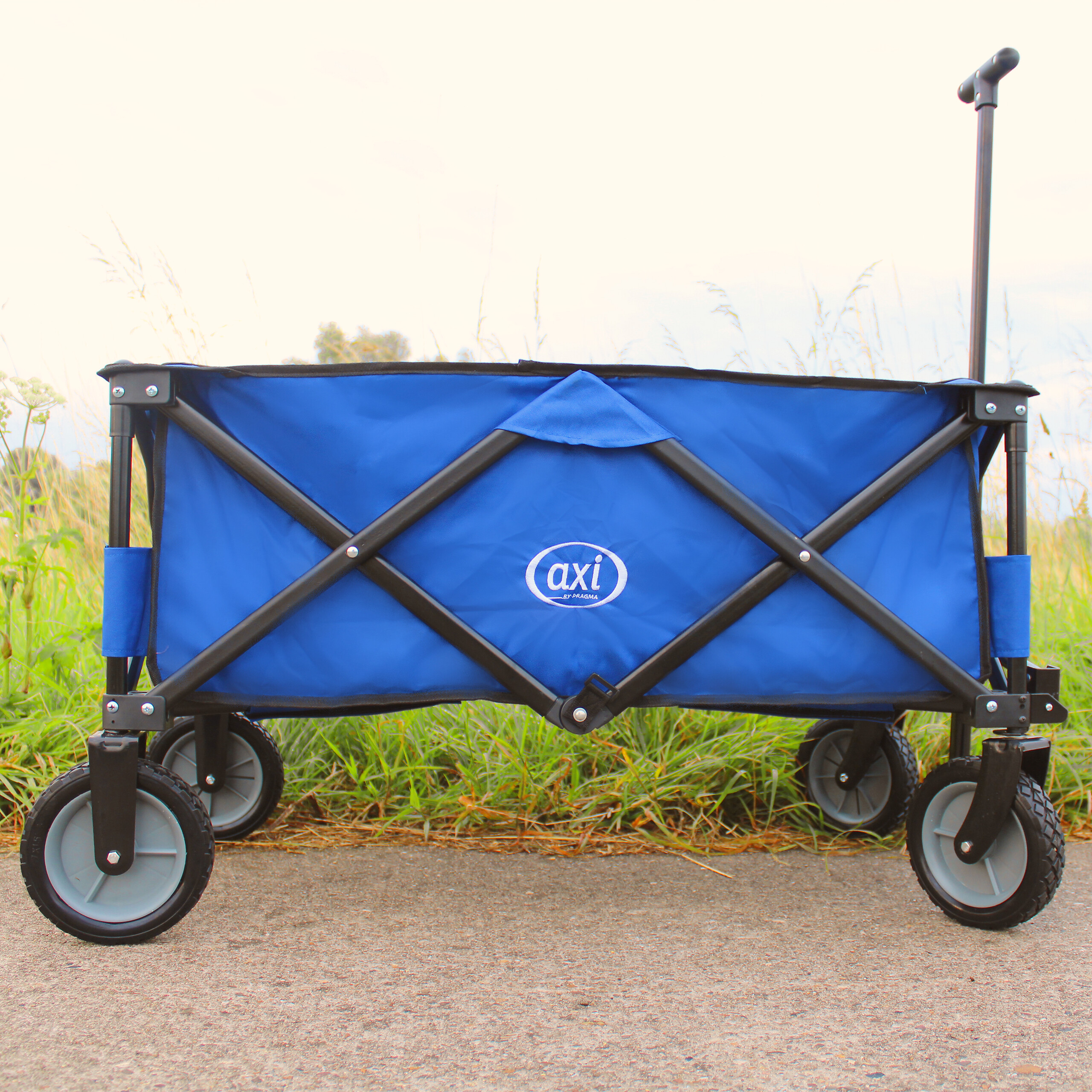 AXI Bollerwagen AB110 blau B/H/L: ca. 50x61x100 cm