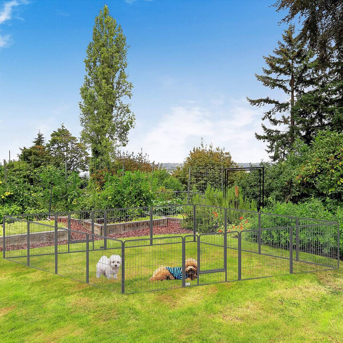 PawHut Gehege grau Edelstahl B/H/L: ca. 1,5x80x60 cm